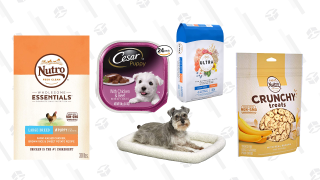 Save Big on Puppy Essentials, Today Only